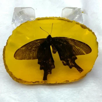 Zriedkavé Amber Čínsky Zber Socha, Vnútorná Vložka, motýľ, reálne hmyzu, malý darček